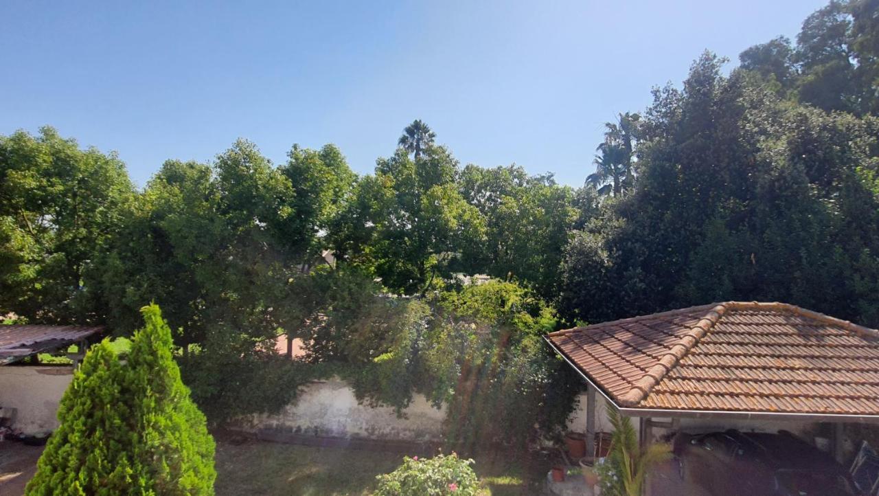 B&B Tenuta Di Vado Piano Nella Selva Di Circe Cerasella Екстериор снимка